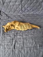 Paardenkaak, afgietsel., Ophalen of Verzenden