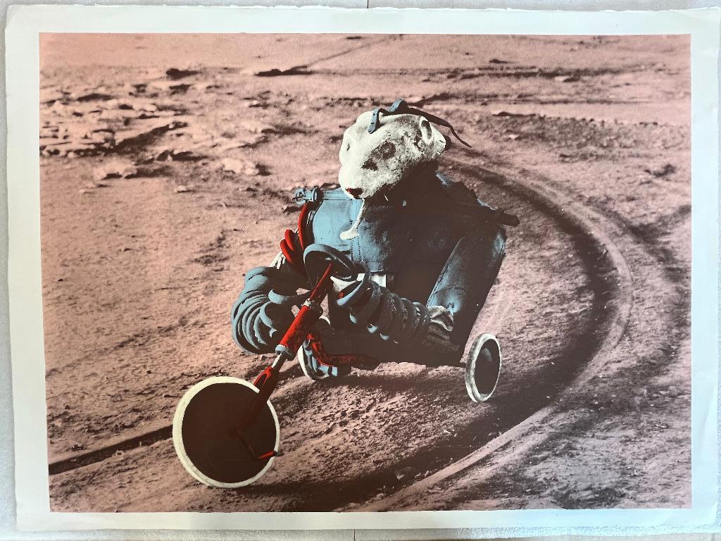 gesigneerde zeefdruk surrealisme 30/125, Verzenden