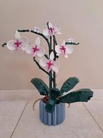 LEGO orchidee Botanicals serie, Ophalen, Lego, Zo goed als nieuw, Compleet