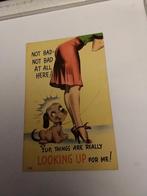 NOT BAD.  NOT BAD AT ALL HERE!, Ophalen of Verzenden, Voor 1920, Overige thema's