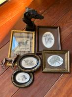 Verzameling windhonden, Ophalen of Verzenden