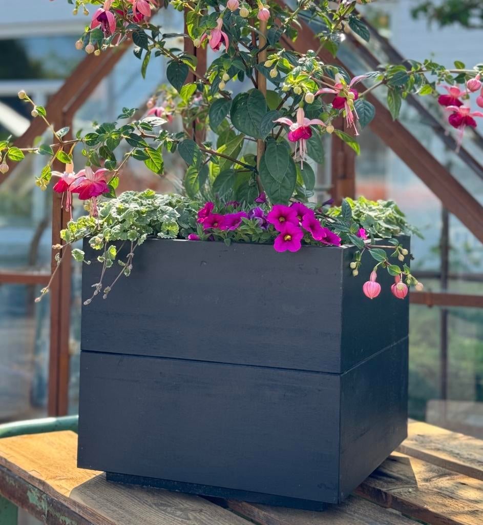 Nieuw | Plantenbak | Bloembak |Pot olijfboom | Bloempot hout, Ophalen, Halfschaduw, 100 tot 250 cm, Olijfboom