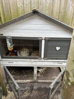 Konijnenhok, Ophalen, 90 cm of meer, Konijn, Hok