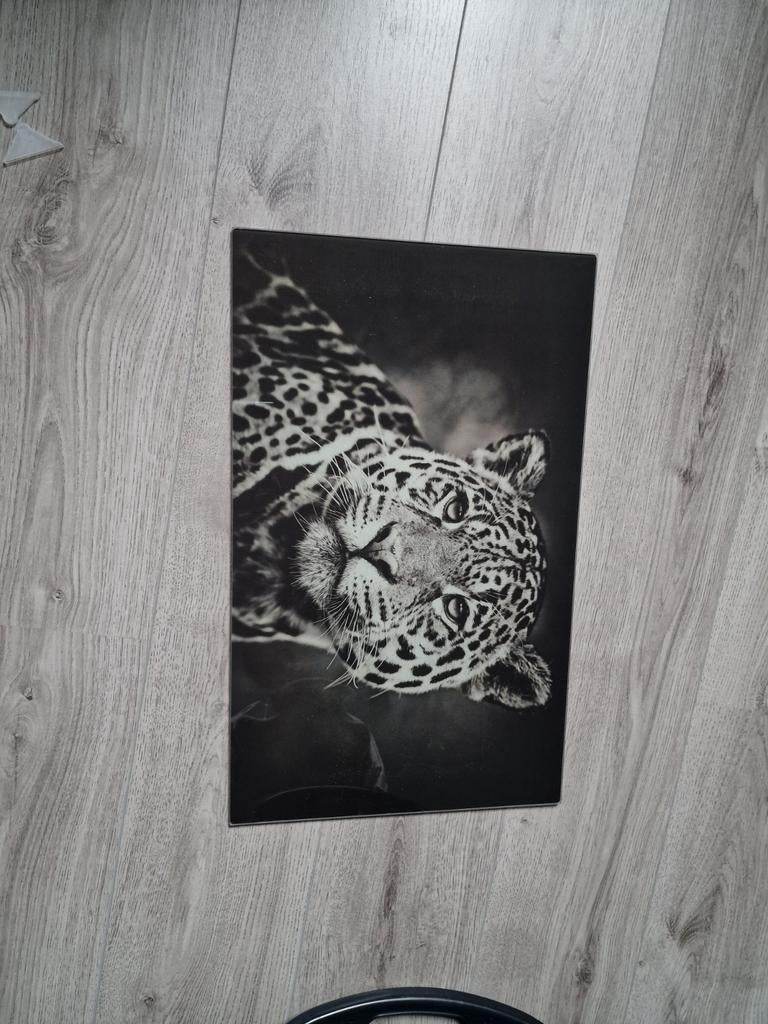 Luipaard panter schilderij glas nieuw, Huis en Inrichting, Woonaccessoires | Schilderijen, Tekeningen en Foto's, Ophalen of Verzenden