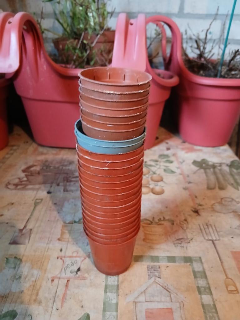 Kweekpotjes per foto te koop, Tuin en Terras, Bloempotten, Ophalen, Kunststof, Gebruikt, Rond