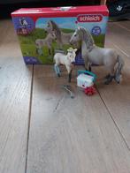 Schleich set  42430 Hannah's Verbanddoos., Ophalen of Verzenden, Zo goed als nieuw, Jongen of Meisje