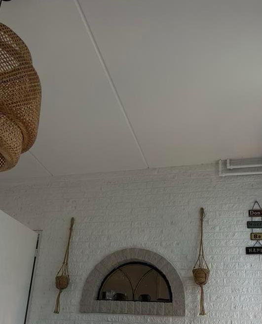 Planten hangers, Huis en Inrichting, Ophalen, Minder dan 10 m²