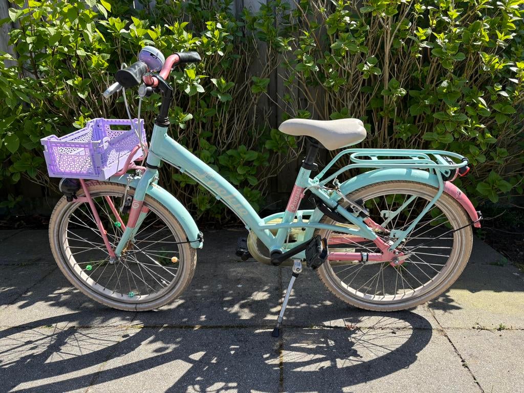 Loekie meisjesfiets 20 inch, Ophalen, Gebruikt, 20 inch
