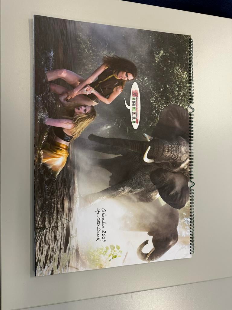 Pirelli kalender 2009, Ophalen of Verzenden, Nieuw, Fotografen
