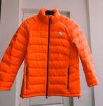 Ralph Laurens ski/winter jas, Ophalen of Verzenden, Zo goed als nieuw, Maat 36 (S), Jack