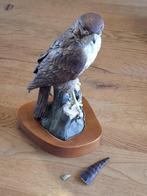Kaiser Porseleinen Slechtvalk Beeld - Limited Edition, Ophalen of Verzenden, Gebruikt, Dier