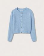 Ice blue cardigan (Mango), Mango, Blauw, Nieuw, Ophalen of Verzenden