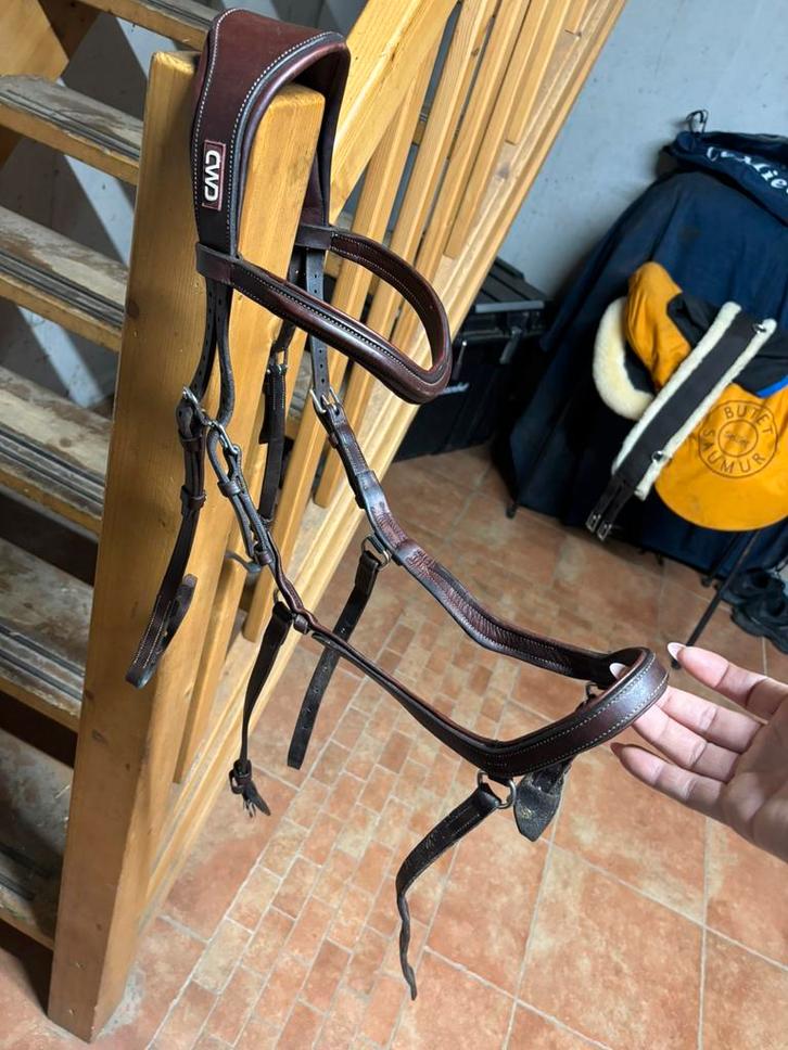 Cwd anatomisch hoofdstel, Dieren en Toebehoren, Paarden en Pony's | Hoofdstellen en Tuigage, Zo goed als nieuw, Springen, Ophalen of Verzenden