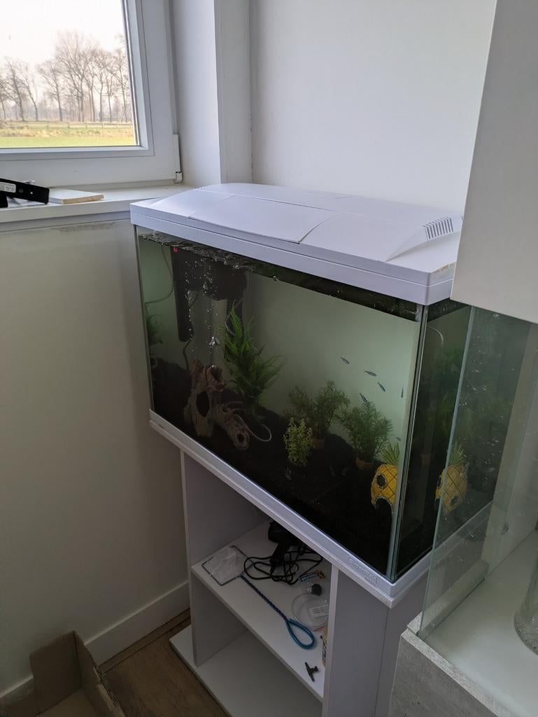 Aquarium - compleet - inclusief vissen, Dieren en Toebehoren, Vissen | Aquaria en Toebehoren, Ophalen