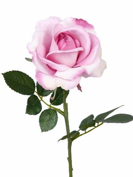 OPRUIMING - TOP ART - PRACHTIGE ROOS - VAN 2,95 NU 1,50