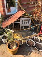 Konijnenhok, Ophalen, 90 cm of meer, Hok, 110 cm of meer