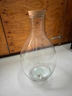 Glazen Stolp voor Plantjes - 53 cm Hoog, Ophalen, Gebruikt