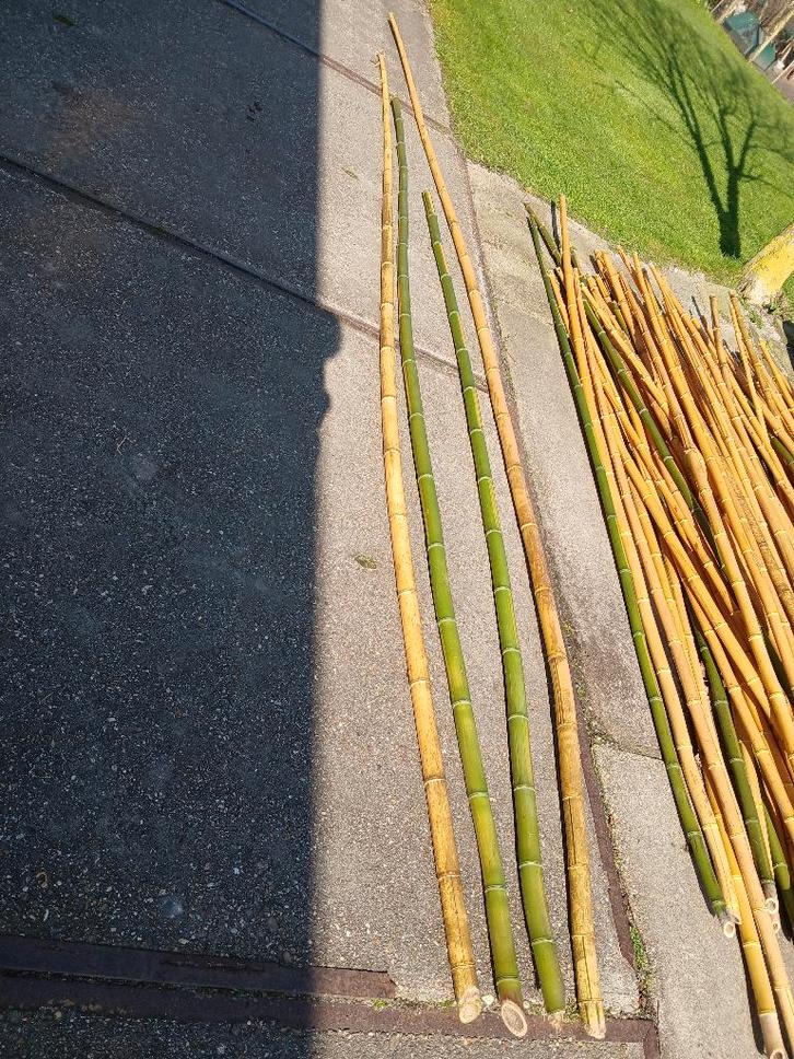 Grote bamboe palen, Tuin en Terras, Palen, Balken en Planken, Nieuw, Overige typen, 250 cm of meer, Ophalen
