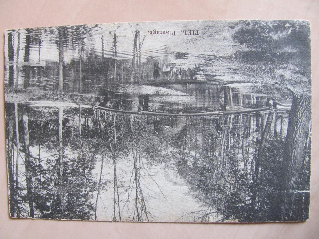 Tiel 1917 Plantage, Ophalen of Verzenden, Voor 1920, Gelopen, Gelderland