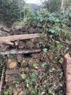 Afval hout uit tuin, 3 tot 6 m³, Ophalen