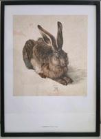 Albrecht Dürer - Junger Hase - Albertina Museum Wien, Ophalen