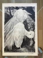Litho D. Homberg uit 1935 met twee zilverreigers, Ophalen of Verzenden