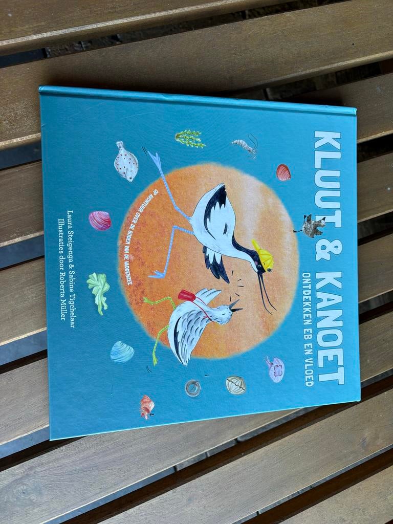 Kluut & Kanoet: Ontdekken en Vliegen, Ophalen of Verzenden, Zo goed als nieuw, Uitklap-, Voel- of Ontdekboek, 2 tot 3 jaar
