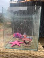 Aquarium met toebehoren, Dieren en Toebehoren, Vissen | Aquaria en Toebehoren, Ophalen of Verzenden, Zo goed als nieuw, Leeg aquarium