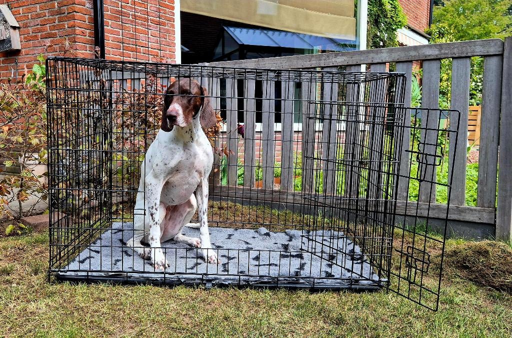Hondenbench XL, Dieren en Toebehoren, Hondenbenches, Gebruikt, Ophalen