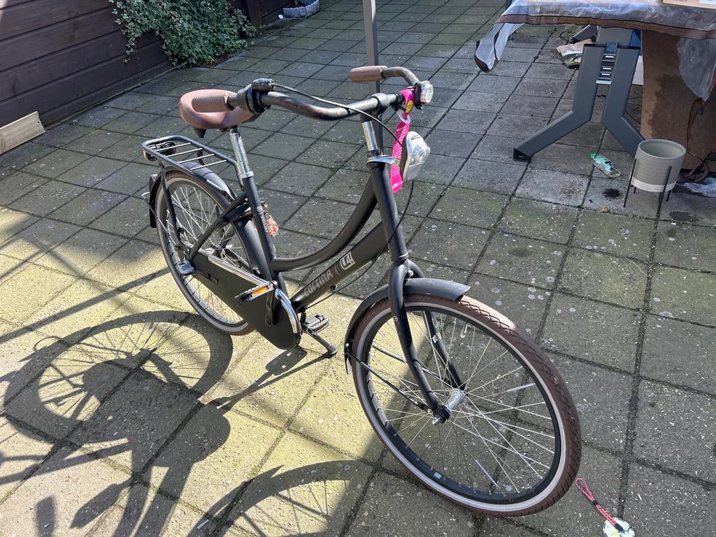 Gebruik fiets, Fietsen en Brommers, Fietsen | Dames | Damesfietsen, Gebruikt, Versnellingen, 50 tot 53 cm, Ophalen