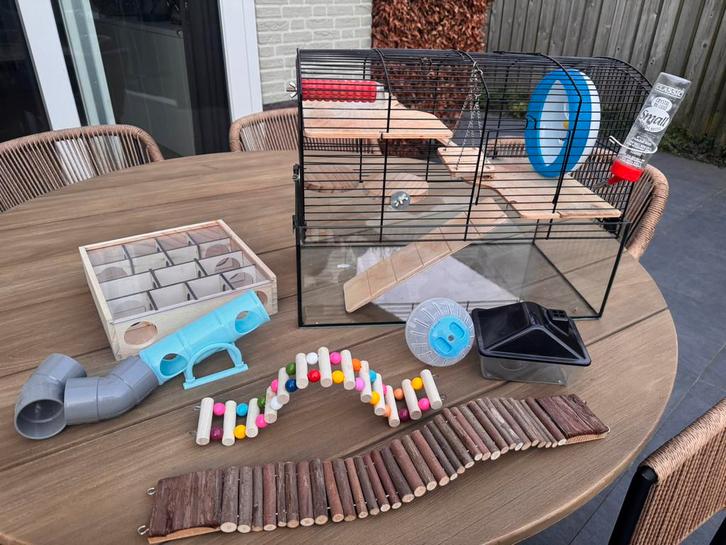 Hamsterkooi, Dieren en Toebehoren, Knaagdieren en Konijnen | Hokken en Kooien, Gebruikt, Kooi, Minder dan 60 cm, Minder dan 75 cm