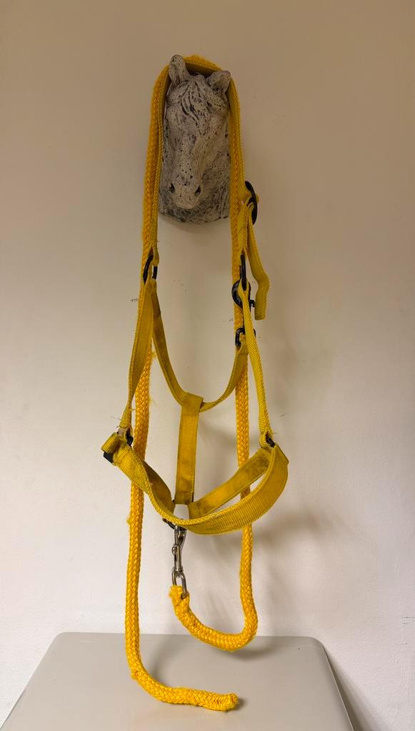 HALSTER & TOUW FULL/Paard Geel set met Musketon!, Dieren en Toebehoren, Paarden en Pony's | Hoofdstellen en Tuigage, Gebruikt