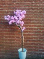 Unieke bloesemboom, woondecoratie, Ophalen, Nieuw, Binnen
