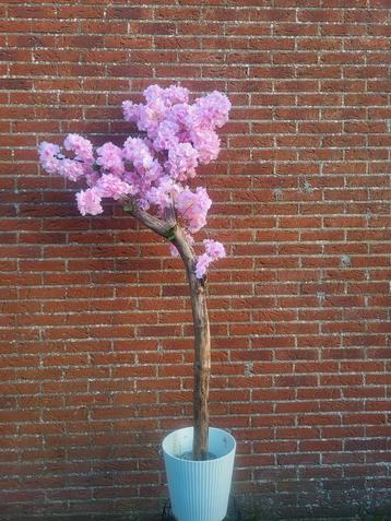 Unieke bloesemboom, woondecoratie beschikbaar voor biedingen