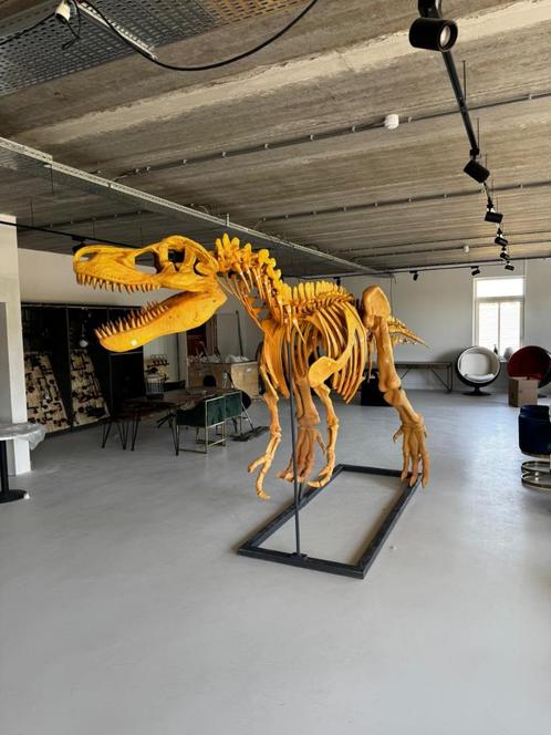T-Rex replica skelet 7  x  2,50 lang (one of a kind), Verzamelen, Dierenverzamelingen, Nieuw, Opgezet dier, Reptiel of Amfibie