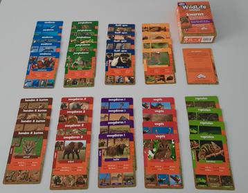 WILDLIFE WEETJES KWARTET beschikbaar voor biedingen