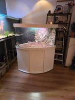 Hoekaquarium 350L met Pomp en Sera Verlichting, Ophalen, Gebruikt, Leeg aquarium