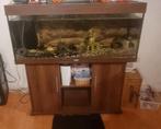 Juwel 250 liter aquarium in goede staat, Dieren en Toebehoren, Vissen | Aquaria en Toebehoren, Ophalen, Gebruikt, Gevuld zoetwateraquarium