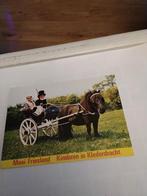 MOOI FRIESLAND.  KINDEREN IN KLEDERDRACHT, Ophalen of Verzenden, Voor 1920, Klederdracht