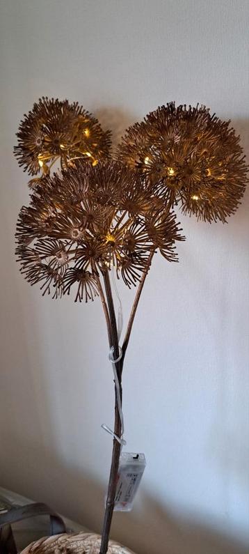 Berenklauw tak  met verlichting  beschikbaar voor biedingen