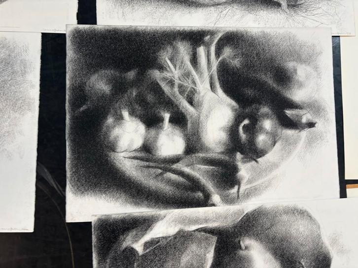 Arno van Iperen Stilleven - Houtskool groot formaat, Antiek en Kunst, Kunst | Tekeningen en Foto's, Ophalen