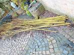 wilgentenen, Ophalen, Nieuw, Hout, 3 tot 6 meter