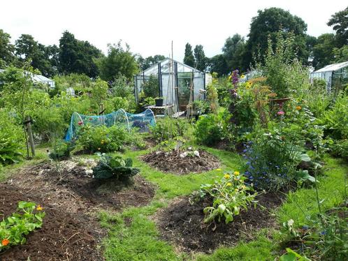 Tuinhulp die het leuk en gezellig vindt om te tuinieren, Tuin en Terras, Planten | Bomen, Overige soorten, Verzenden