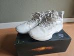 Basketbalschoenen van Peak (model Flash 5), maat 42, Ophalen of Verzenden, Gebruikt, Schoenen