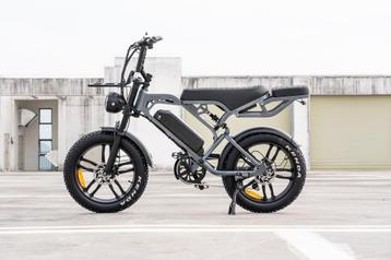 grijze Fatbike V20 beschikbaar voor biedingen