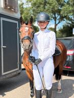 C pony merrie, Zadelmak, 3 tot 6 jaar, C pony (1.27m tot 1.37m), Recreatiepony