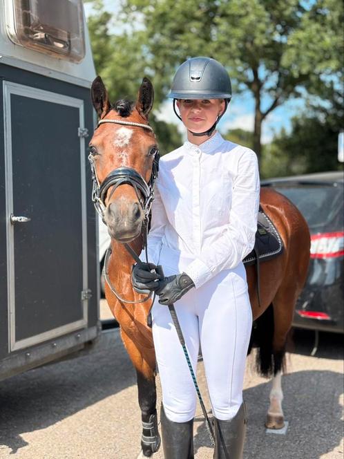 C pony merrie, Dieren en Toebehoren, Pony's, Merrie, Zadelmak, C pony (1.27m tot 1.37m), Recreatiepony, 3 tot 6 jaar, Gechipt