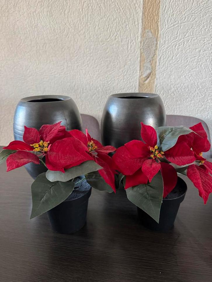 Kunst Kerstster Plantjes - Set van 2, Huis en Inrichting, Woonaccessoires | Kunstplanten en Kunstbloemen, Zo goed als nieuw, Binnen