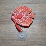 Aquarium decoratie discus, Ophalen of Verzenden, Zo goed als nieuw, Sierelement