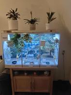 Kamer volière / broedkooi, Dieren en Toebehoren, Ophalen, Gebruikt, Kunststof, Broedkooi of Kweekkooi